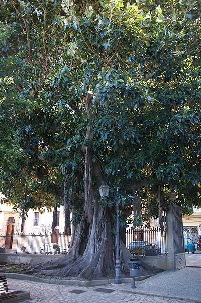 Castellammare Del Golfo Holidays On Sicily Sicilia Ferien De