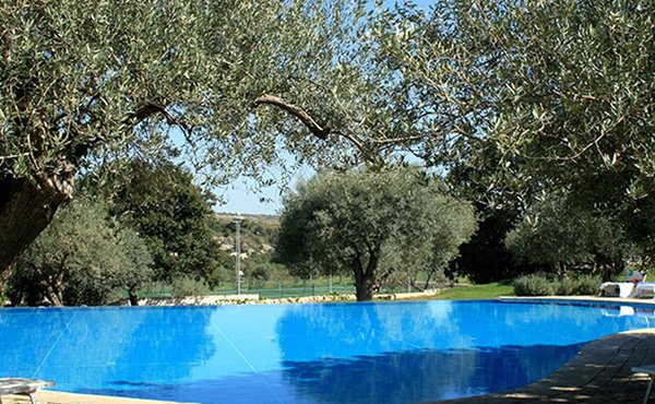 Masseria-degli-ulivi-pool-landschaft